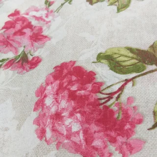 Tkanina z kwiecistym wzorem, różowe peonie na białym tle